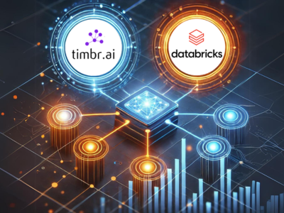 databricks and timbr